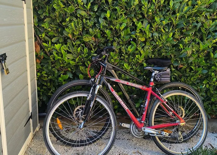 아파트 Eva 로비니